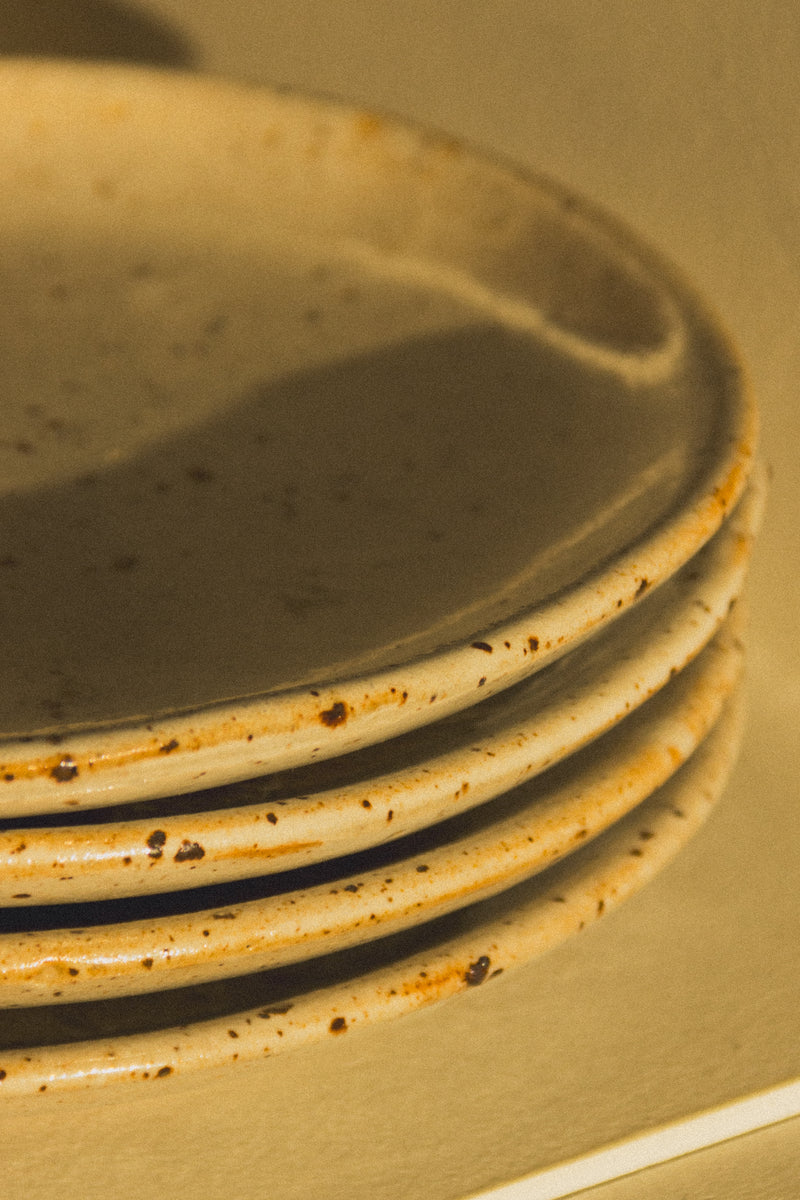 assiettes-gres-beige-mouchete-anciennes-Collection-printemps-Eloge-Paris-Brocante-Boheme-couverture