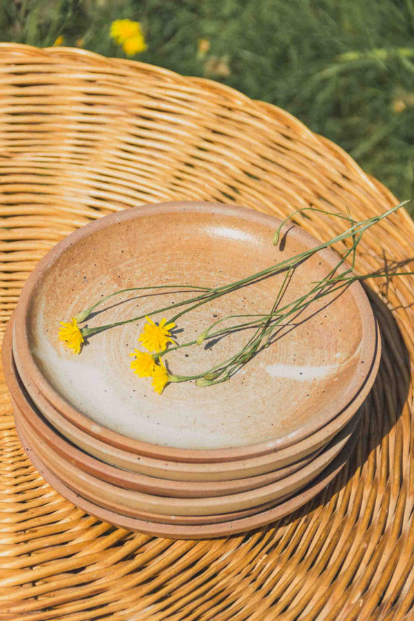 assiettes-gres-rose-Collection-automne-Eloge-Paris-Brocante-Boheme