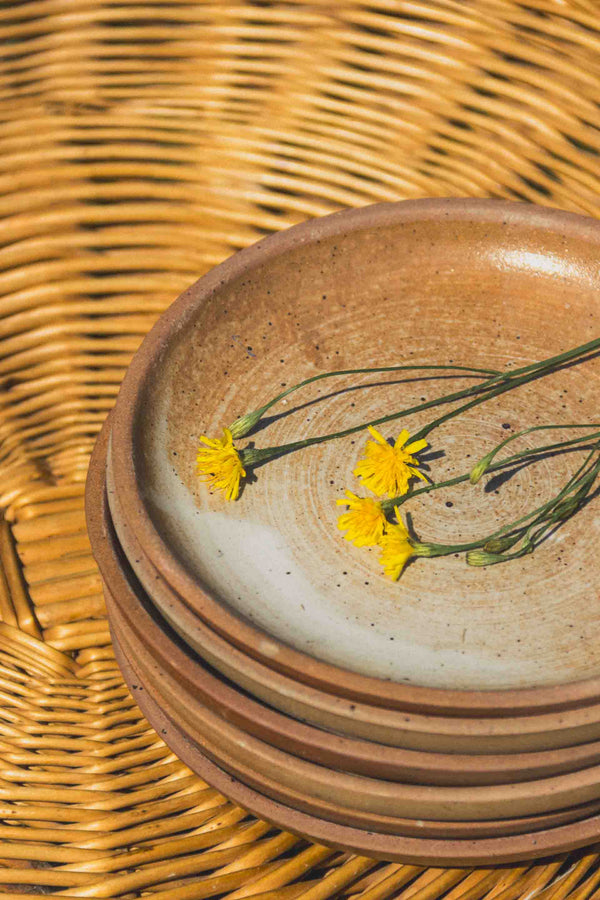 assiettes-gres-rose-Collection-automne-Eloge-Paris-Brocante-Boheme