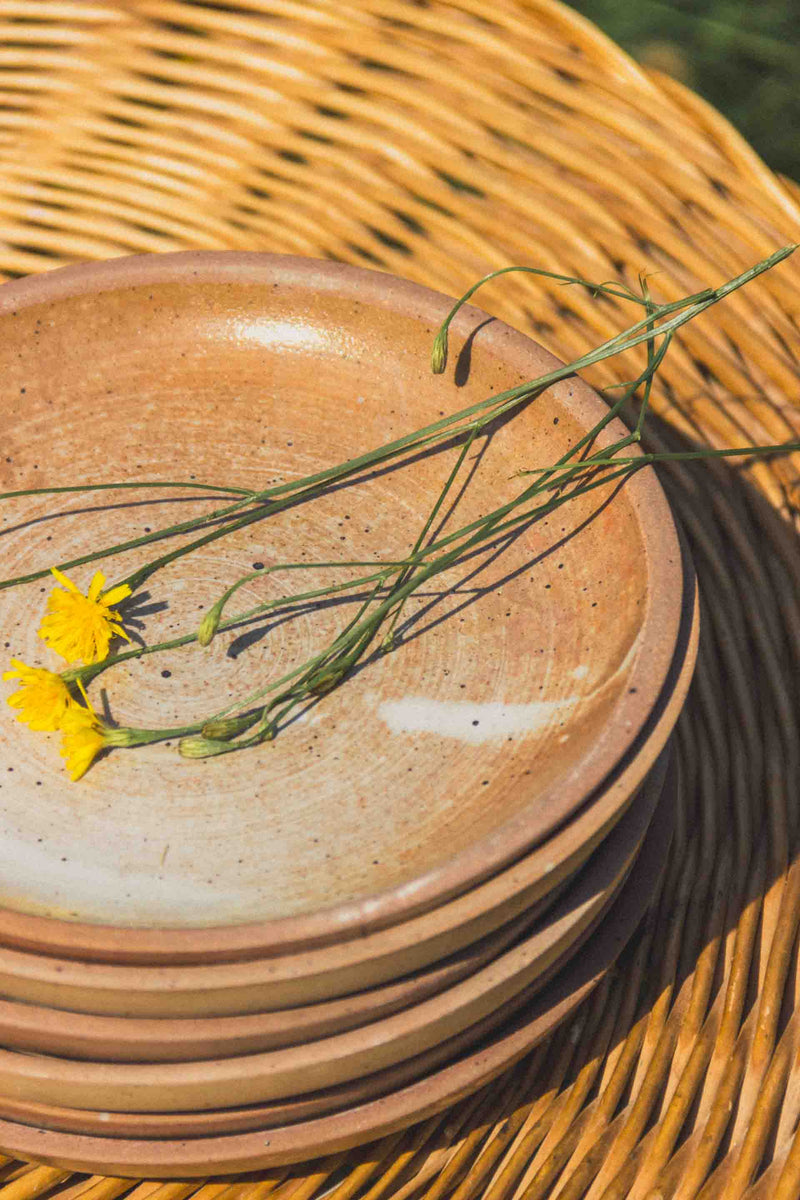 assiettes-gres-rose-Collection-automne-Eloge-Paris-Brocante-Boheme