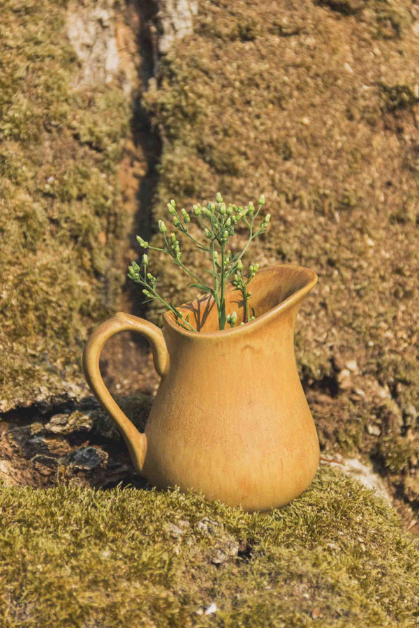 mini-pichet-gres-brun-Collection-automne-Eloge-Paris-Brocante-Boheme