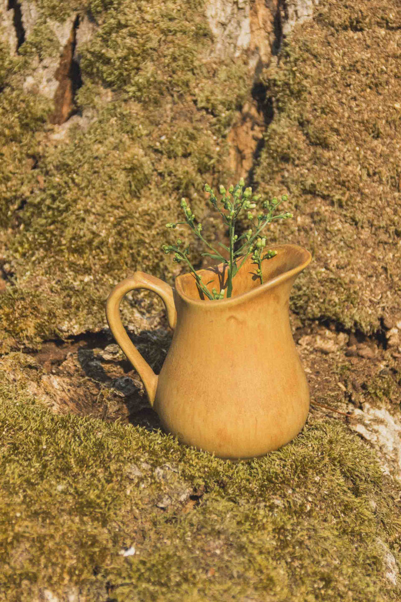 mini-pichet-gres-brun-Collection-automne-Eloge-Paris-Brocante-Boheme