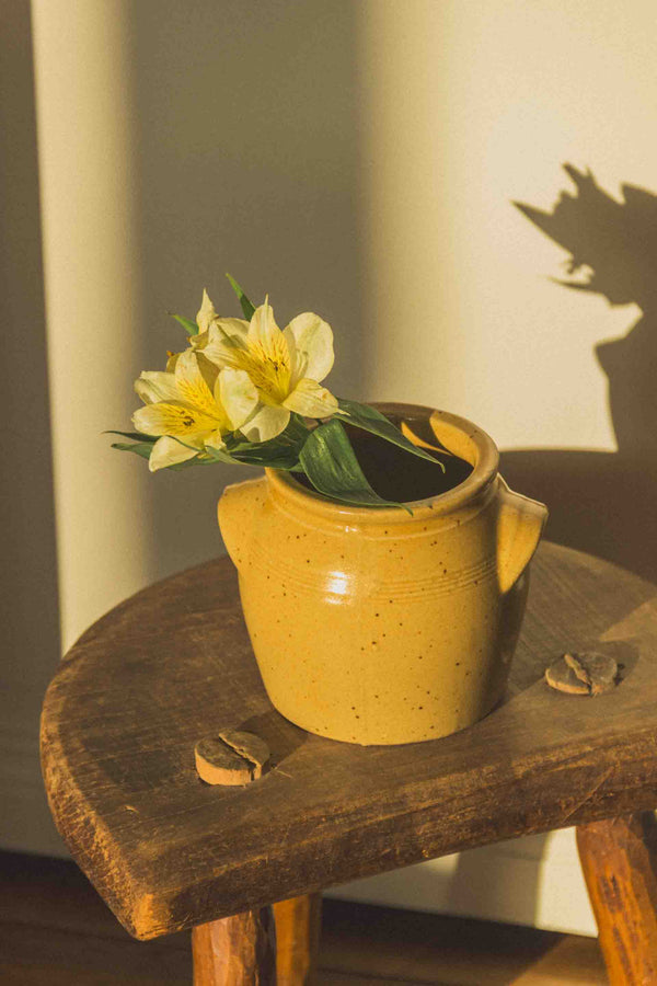 petit-pot-moutarde-beige-jaune-mouchete-Collection-printemps-Eloge-Paris-Brocante-Boheme