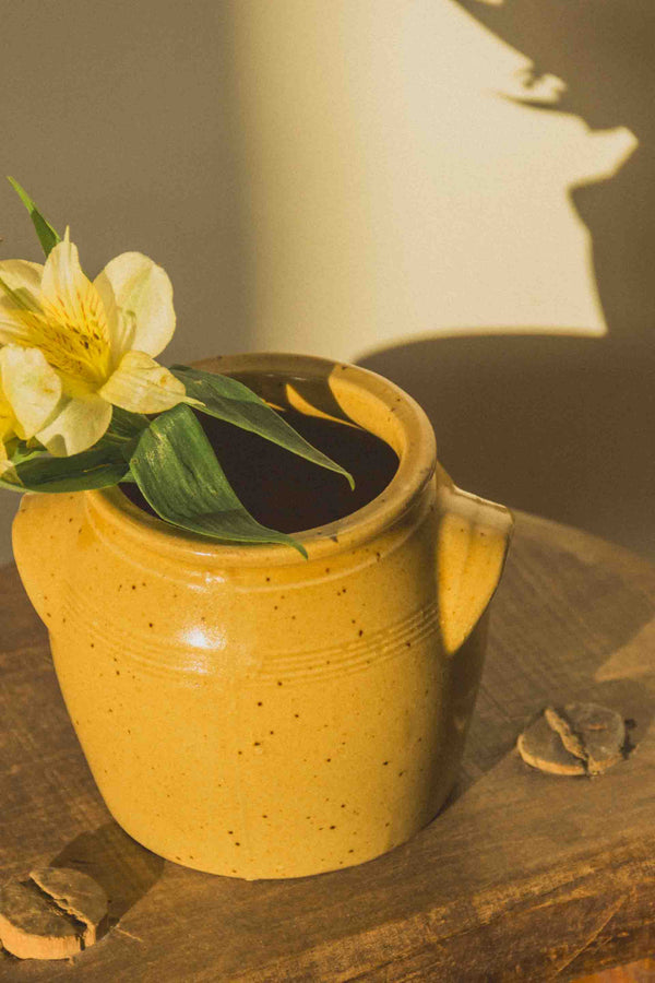 petit-pot-moutarde-beige-jaune-mouchete-Collection-printemps-Eloge-Paris-Brocante-Boheme